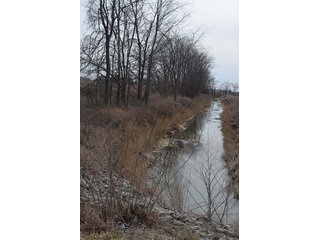 24 Grassland Acres - 20+/- Acres Wooded & 24+/- Acres Grassland, LAND AUCTION